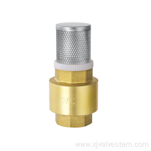 Brass horizontal check valve